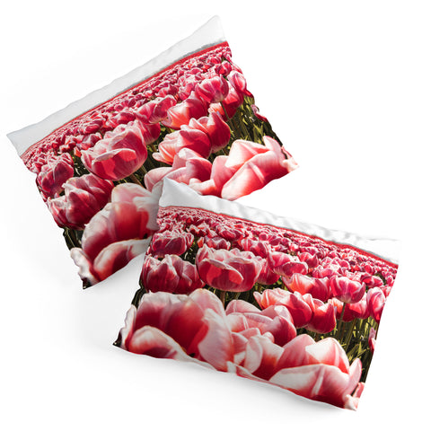 Henrike Schenk - Travel Photography Tulip Field In Holland Floral Pillow Shams