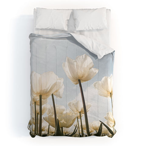 Henrike Schenk - Travel Photography White Tulips In Spring In Holland Comforter