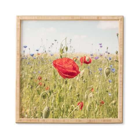Henrike Schenk - Travel Photography Wildflower Field Poppy Flower Framed Wall Art