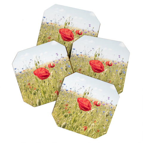 Henrike Schenk - Travel Photography Wildflower Field Poppy Flower Coaster Set