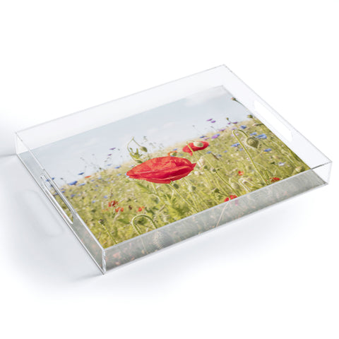 Henrike Schenk - Travel Photography Wildflower Field Poppy Flower Acrylic Tray