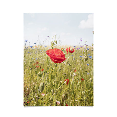 Henrike Schenk - Travel Photography Wildflower Field Poppy Flower Poster