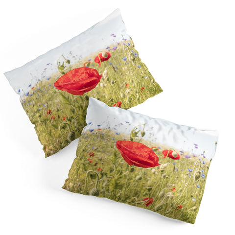 Henrike Schenk - Travel Photography Wildflower Field Poppy Flower Pillow Shams