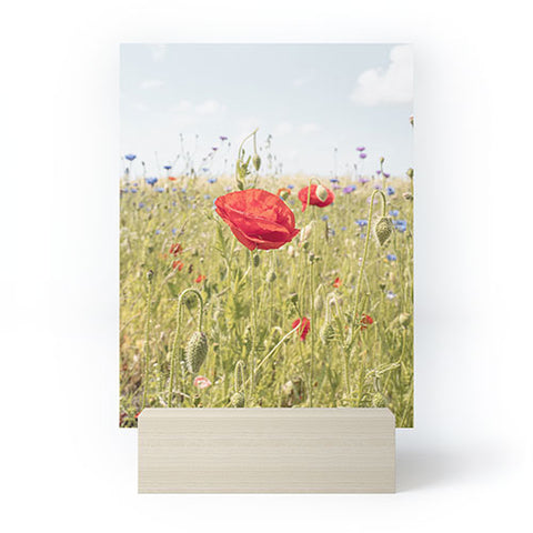Henrike Schenk - Travel Photography Wildflower Field Poppy Flower Mini Art Print
