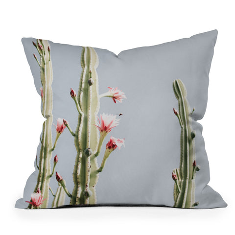 Ingrid Beddoes Cereus Cactus Blush Desert Cactus Outdoor Throw Pillow