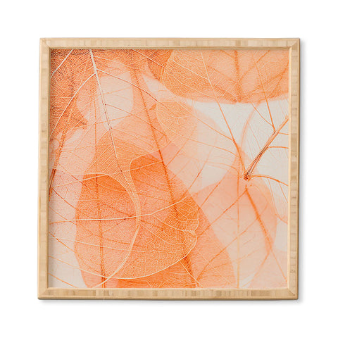 Ingrid Beddoes Orange marmalade Framed Wall Art