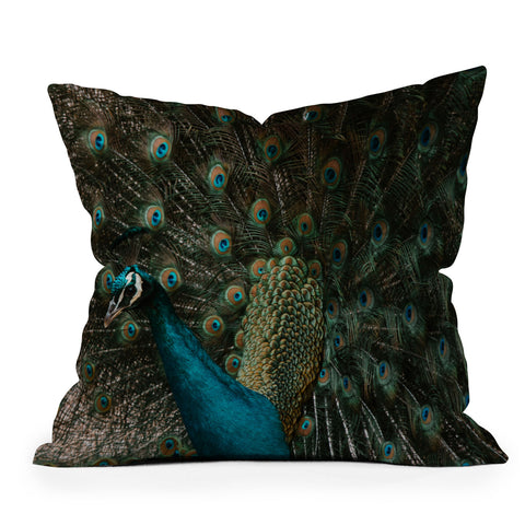 Ingrid Beddoes Peacock and proud IV Outdoor Throw Pillow