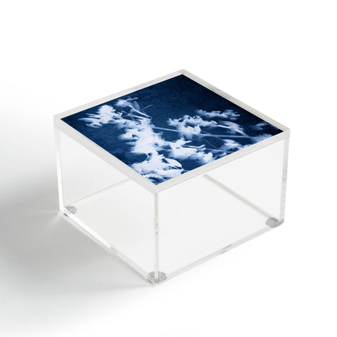 Iris Lehnhardt blueprint Acrylic Box