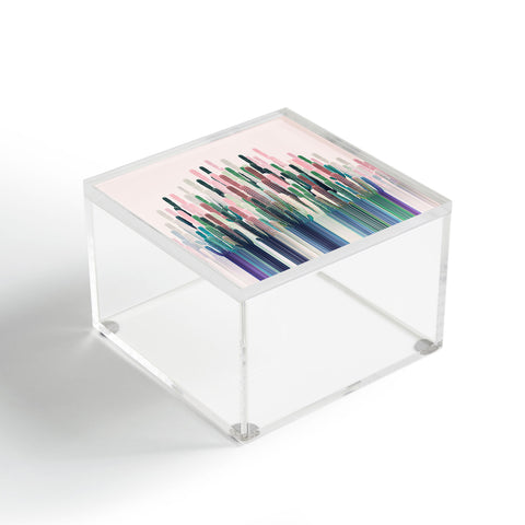 Iveta Abolina Cacti Stripe Pastel Acrylic Box