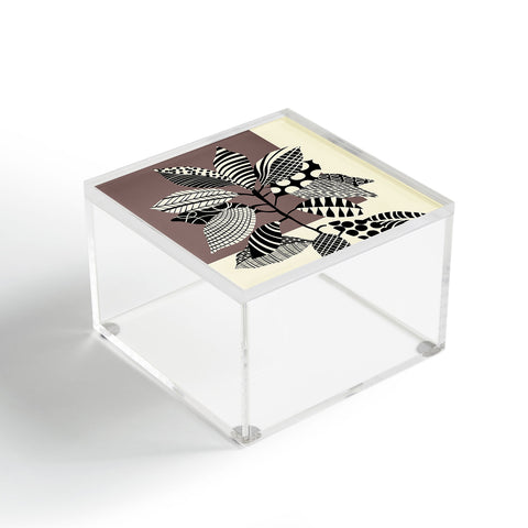 Jenean Morrison Patterned Plant 01 Acrylic Box