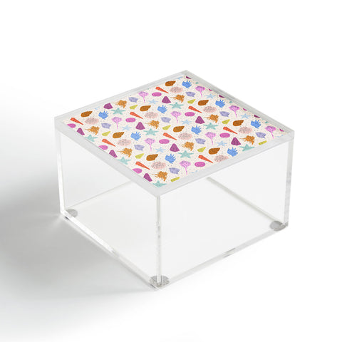 KrissyMast Rainbow Seashells Acrylic Box