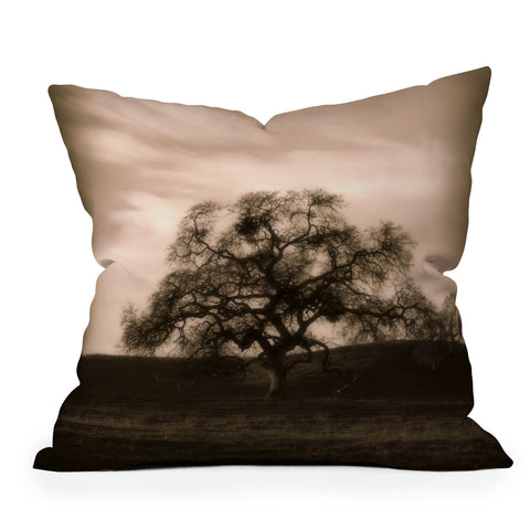 Krista Glavich Oak Outdoor Throw Pillow
