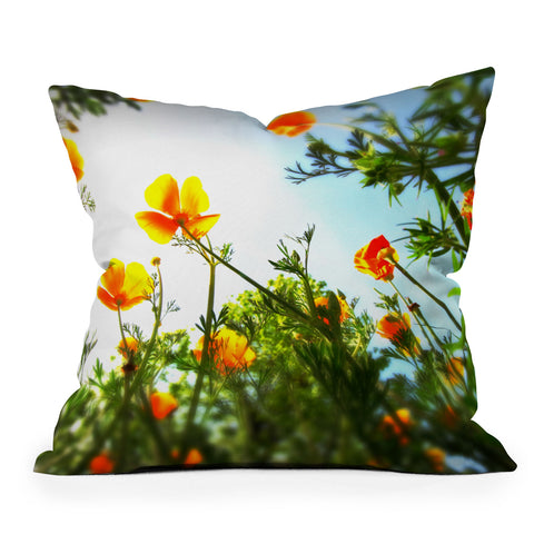 Krista Glavich Poppies 1 Outdoor Throw Pillow