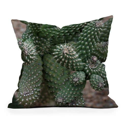 Lisa Argyropoulos Cactus Fantastic Outdoor Throw Pillow