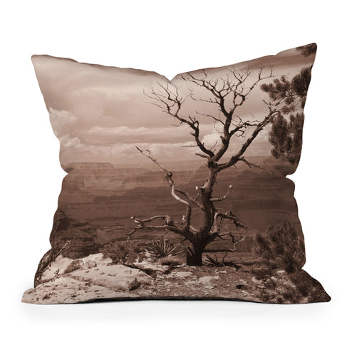 Lisa Argyropoulos Canyon Ghost Warm Sepia Outdoor Throw Pillow