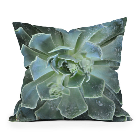 Lisa Argyropoulos Succulents II Outdoor Throw Pillow