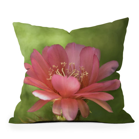 Lisa Argyropoulos Torch Outdoor Throw Pillow