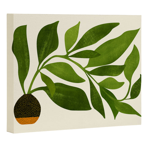 Modern Tropical The Wanderer House Plant Illustration Art Canvas