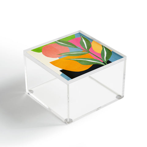 Nadja Minimal Modern Abstract Leaves Acrylic Box
