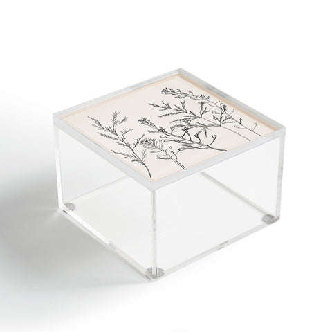 Nadja Minimalist Grass 2 Acrylic Box