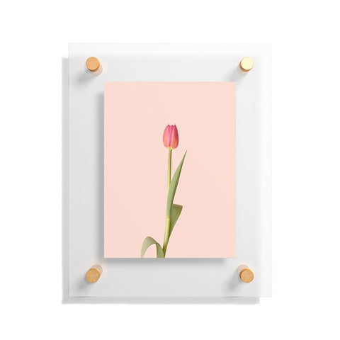 Ninasclicks The pink tulip Floral Floating Acrylic Print