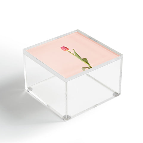 Ninasclicks The pink tulip Floral Acrylic Box