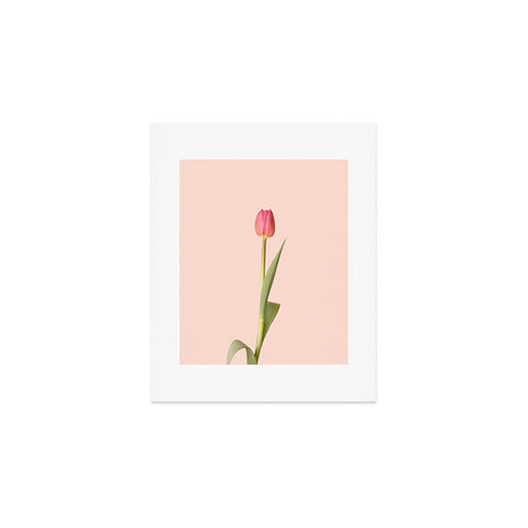 Ninasclicks The pink tulip Floral Art Print