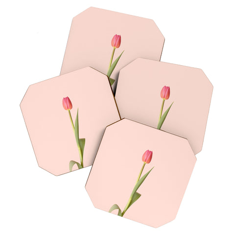 Ninasclicks The pink tulip Floral Coaster Set