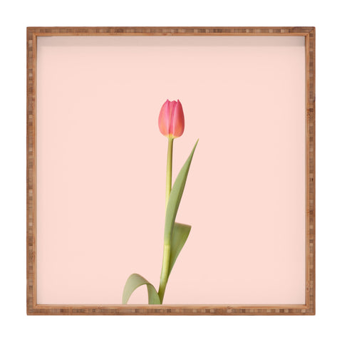 Ninasclicks The pink tulip Floral Square Tray