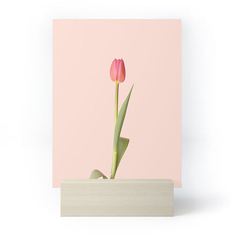 Ninasclicks The pink tulip Floral Mini Art Print
