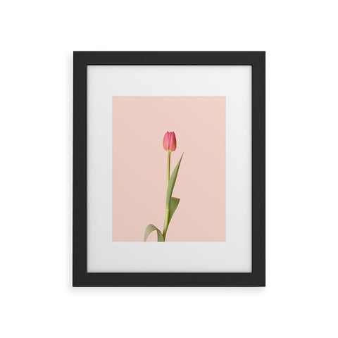Ninasclicks The pink tulip Floral Framed Art Print