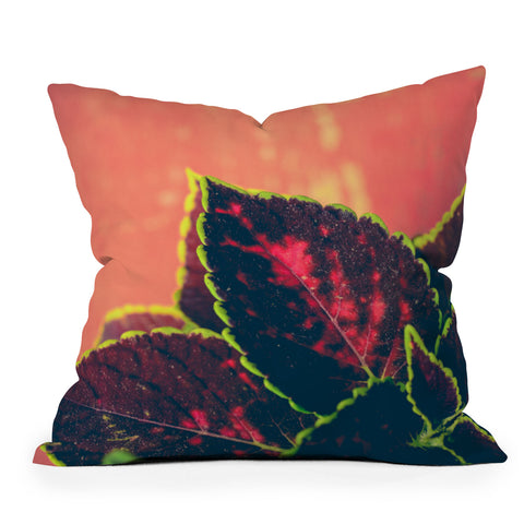 Olivia St Claire Coleus on Red Table Outdoor Throw Pillow