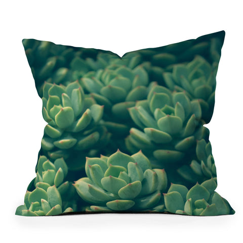 Olivia St Claire Succulents Outdoor Throw Pillow