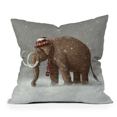 Terry Fan The Ice Age Sucked Outdoor Throw Pillow