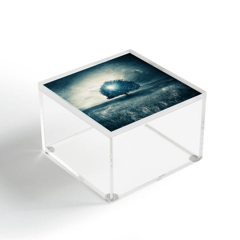 Viviana Gonzalez Energy From The Blue Tree Acrylic Box