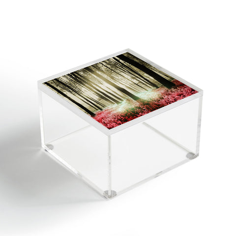 Viviana Gonzalez Forest II Acrylic Box