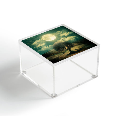 Viviana Gonzalez Once Upon A Time The Lone Tree Acrylic Box