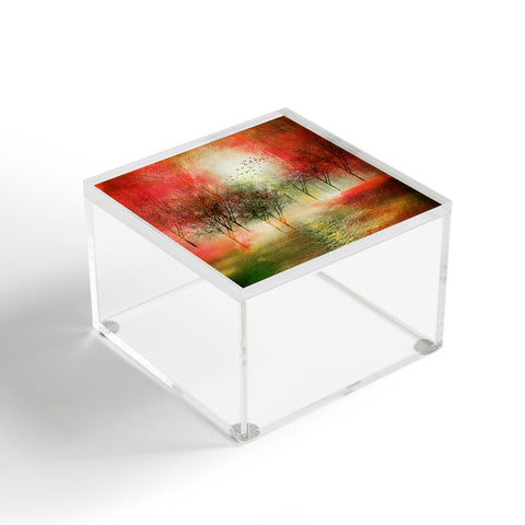 Viviana Gonzalez Paisaje Y Color III Acrylic Box