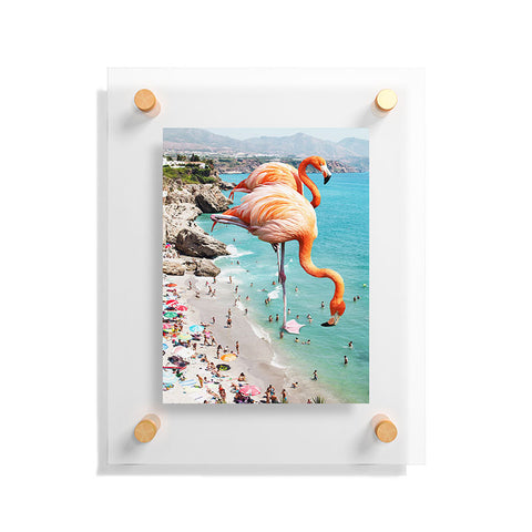83 Oranges Flamingos on the Beach Wildlife Floating Acrylic Print