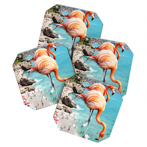 83 Oranges Flamingos on the Beach Wildlife Coaster Set