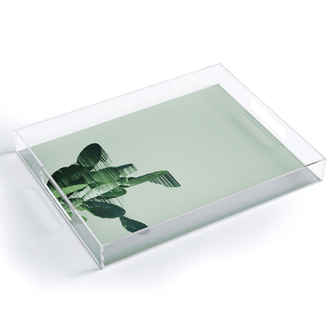 Adam Priester Get your cactus sorted Acrylic Tray