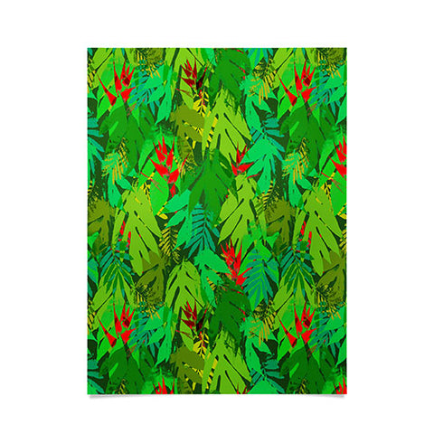 Aimee St Hill Heliconia 1 Poster
