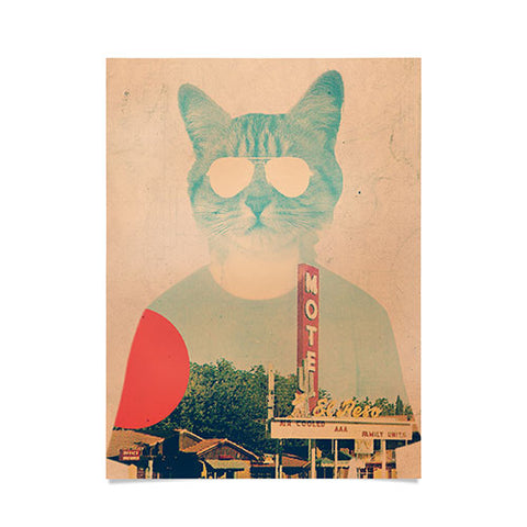 Ali Gulec Cool Cat Poster