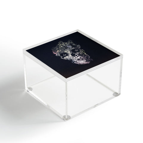 Ali Gulec Metamorphosis Skull Acrylic Box