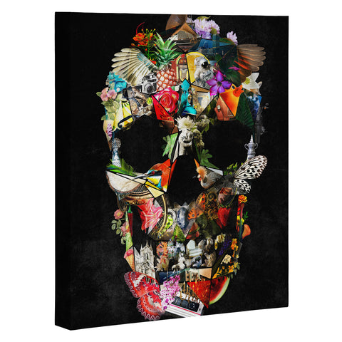 Ali Gulec New Fragile Skull Art Canvas