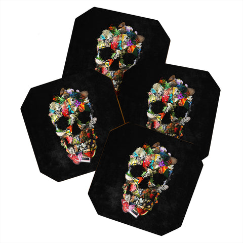 Ali Gulec New Fragile Skull Coaster Set