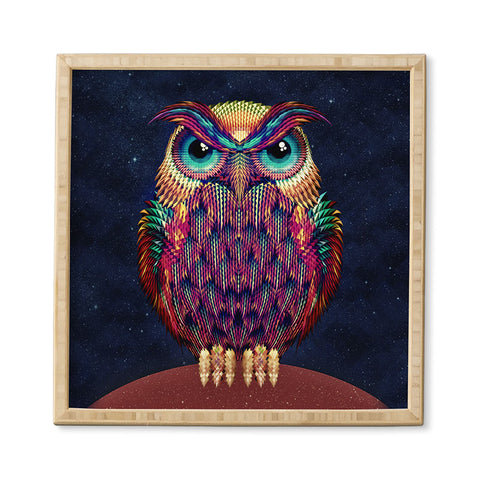 Ali Gulec Owl 2 Framed Wall Art