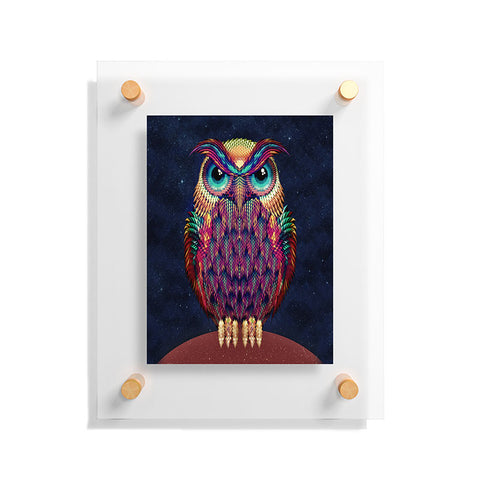 Ali Gulec Owl 2 Floating Acrylic Print