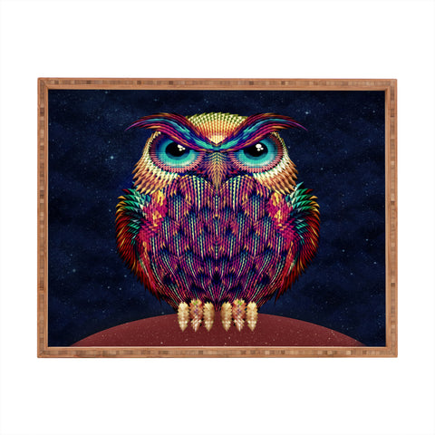 Ali Gulec Owl 2 Rectangular Tray
