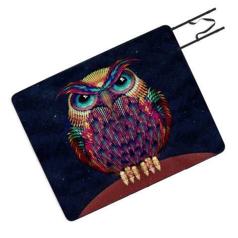 Ali Gulec Owl 2 Picnic Blanket
